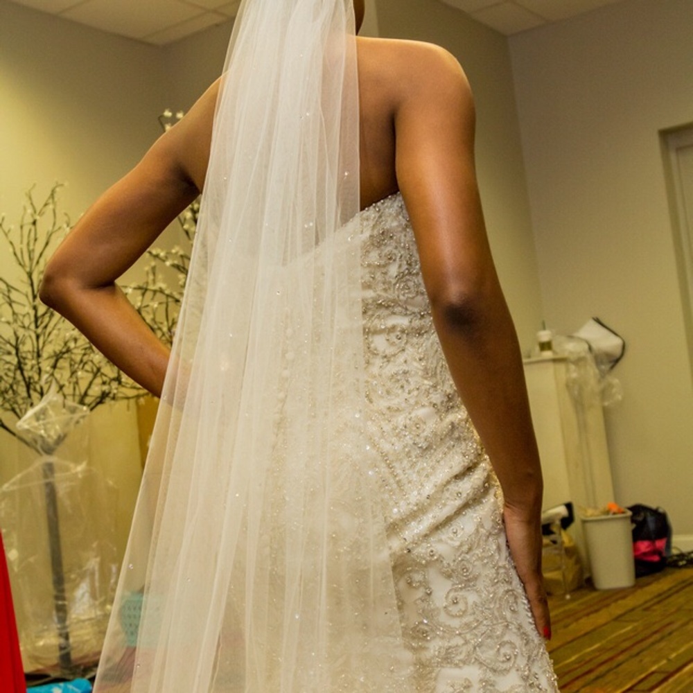 Jeweled veil